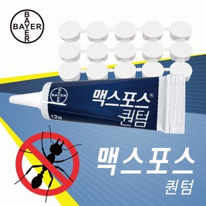 [바이엘] 맥스포스퀀텀12g+개미캡20개 바퀴벌레/개미