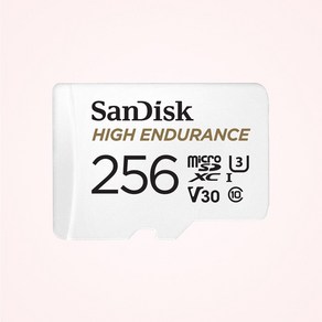 샌디스크 High Enduance 블랙박스 마이크로 SD 카드 / 메모리 케이스, 256GB, 1개