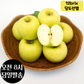 [12브릭스 당도선별] 맛난일상 경북 시나노골드사과 황금사과, 꼬마(2kg), 1개