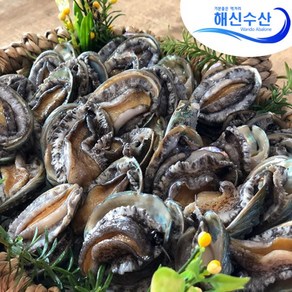 해신수산* 완도활전복 라면전복 40-70미 1kg 산지직송(평일오후2시 당일출고)