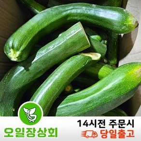 < 오일장상회 > 국내산 쥬키니호박 주키니호박 못난이호박 C등급 업소용 10kg내외