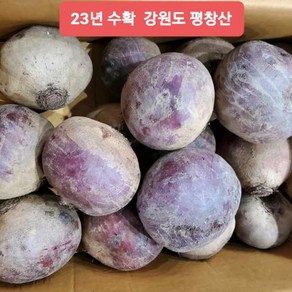 국내산 레드비트 정품특품특대과 10kg, 국내산 레드비트 10kg(정품특대과 30과 내외), 1박스