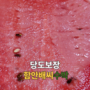 [ 당도보장 한정판매 ] 이름을 걸었습니다 명품수박 함안배씨수박 흑수박 참박수박 화학비료NO, 1개, 명품 함안배씨수박 9kg