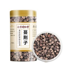 영진 동인당 만형자 순비기나무 열매, 150g, 1통