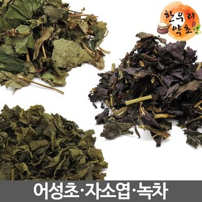 어성초300g + 자소엽150g + 녹차150g 국내산 발모팩 발모차 재료, 1세트