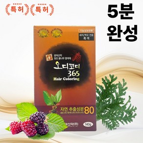[아일라몰] 오디코디365 새치 염색제 샴푸형 5분완성 남성 140g x 1, 1개, 흑색