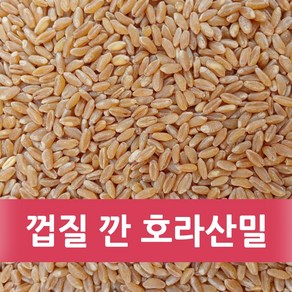 껍질 깐 호라산밀 10kg (2024년산), 1개