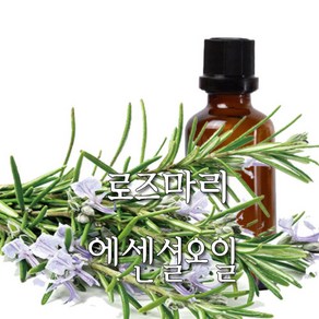 허니솝 로즈마리 아로마 에센셜오일, 로즈마리 에센셜오일 100ml, 1개