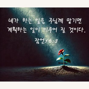 푸아이 실십자수 성경구절 잠언 주님께 의지 성경말씀 프린트도안 패키지 3D 자수세트 선물 장식, NO.1, 1개