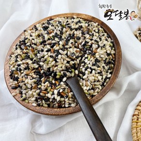 힘찬농부 국산 오색현미 (현미 찰현미 흑미 홍미 녹미 흑백미), 1개, 500g