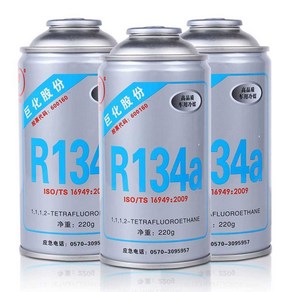 자동차 에어컨 냉매 가스 키트 충전 리필 게이지 도구, 1. R134a 1병(순중량 220g)