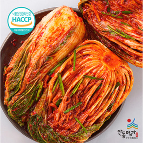 [안동명가] 25년 전통 수제 포기 김치 국내산 HACCP인증 가정용, 1개, 3kg