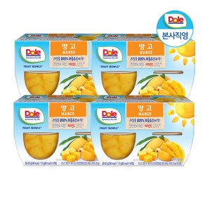 Dole 후룻볼 망고 과일 통조림, 16개