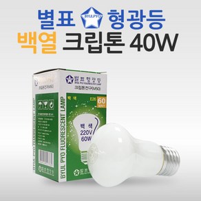 (A)별표 크립톤전구 백열램프 백열등 백색 40W / TN-M-50(40W)F, 전구색[노란빛], 크립톤40W(불투명)E26, 1개