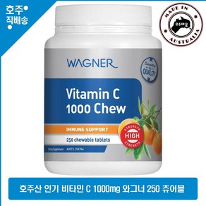 호주 직구 영양제 와그너 고강도 이뮨 서포트 오렌지 맛 비타민 C 1000mg 250 츄어블, 250정, 1개, 250정