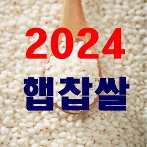 충남서천찹쌀20kg 2024년 햅찹쌀 + 사은품(미강), 20kg, 1개