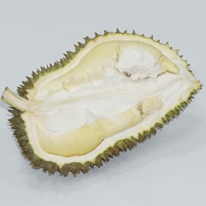 생두리안 250g + 250g 항공직송 태국(깐)생두리안 500g, 2개