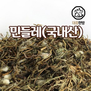 대흥한방 민들레 600g 국내산, 1개