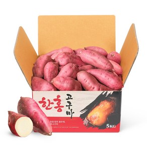 꿀고구마 대사이즈 5kg/10kg 베니하루까 모양좋은 산지직송, 1박스, 큰대 5kg (400g이상)