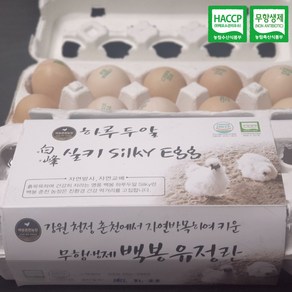 [백봉춘천농장] 자연방사 무항생제 백봉 오골계 유정란 초신선 달걀 계란, 유정란20구, 1개