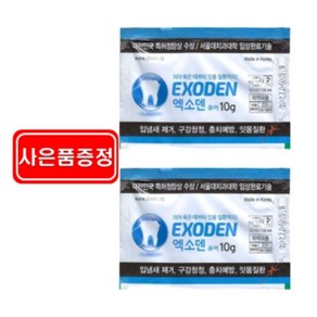 엑소덴 분말치약 소성벤토나이트 리필 (케이스없음), 10g, 2개