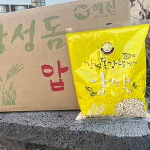 해신 감성돔 압맥 10개입 감성돔 집어제 순수 압맥 감성돔 참돔낚시, 1개, 2.6kg