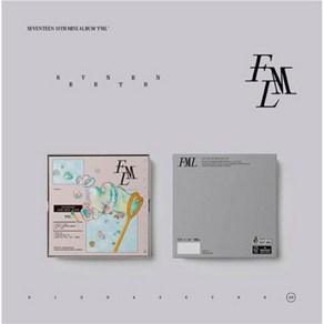 세븐틴 (SEVENTEEN) - 10th Mini Album FML (CARAT Ver.) - 개봉앨범 포카 없음