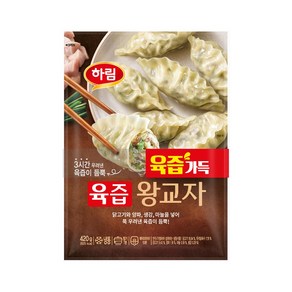 닭고기몰 하림 육즙 왕교자 육즙가득 만두, 840g, 2개