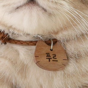 르슬로우디 가벼운 나무 인식표 고양이 강아지 이름표 네임택 목걸이 애견 반려동물