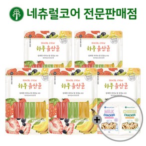 네츄럴코어 하루유산균 + 사은품 증정, 5개