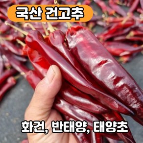 국산 100% 햇 건고추 고추가루 고춧가루 산지직송 전남 고창 김장 김치고추