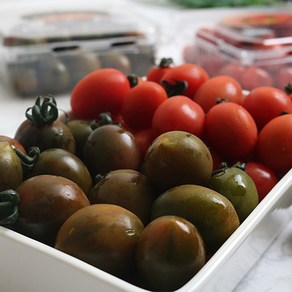 부여 스테비아 토마토 대추 방울 망고향 1kg 블랙 레드 토망고 스윗마토 망고맛토, 2개