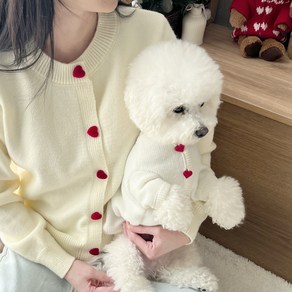 토끼독 강아지 가디건 하트봉봉 니트 가을 겨울 강아지옷 커플룩, 아이옷 그레이, 1개