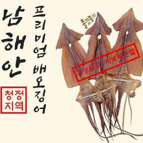 구운 쫄깃한 배오징어 20마리(한축)1.1kg 건오징어 마른오징어, 1개