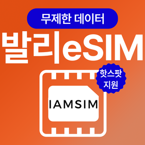 발리 인도네시아 무제한 데이터 esim 이심