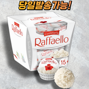 라파엘로 페레로 로쉐 라파엘로 화이트 코코넛 초콜릿, 1개, 150g