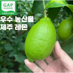 [우수농산물] GAP 무농약 청정 제주 국내산 레몬 레몬수