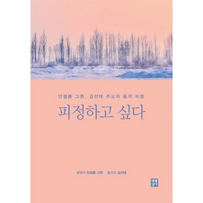 피정하고 싶다:안셀름 그륀 김선태 주교의 품격 피정, 생활성서사