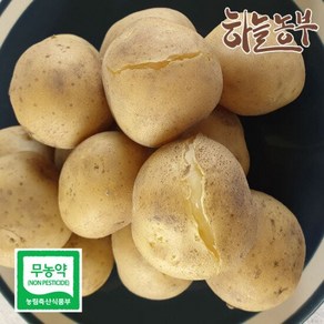 친환경 포슬포슬 햇 감자 1kg 수미감자