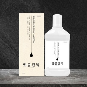 헤밀레 잇몸진액 가글액치약, 1개, 250ml