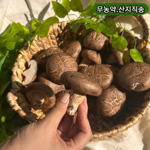 장흥 무농약 국산 참나무 생표고버섯 가정용 프리미엄급 1kg2kg4kg, 1kg, 1개