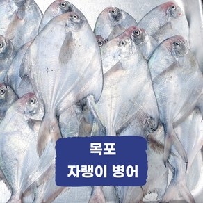 목포 국산 자랭이 병어 당일조업 산지직송