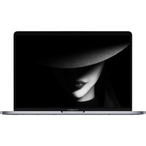 애플 맥북프로 2018 A1989 13.3인치 i5-8259U/16G/SSD 256G 실버, 애플 맥북프로 A1989, MAC OS, 16GB, 256GB