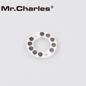 M.Chales 베이트 캐스팅 릴용 마그네틱 브레이크 자석 10 개