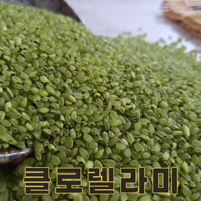 밥보야 24년산 클로렐라쌀 1kg 클로렐라미 클로렐라밥 색깔쌀 컬러쌀, 1개