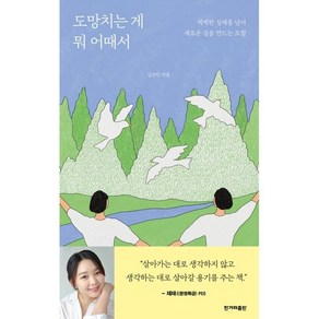 도망치는 게 뭐 어때서:씩씩한 실패를 넘어 새로운 길을 만드는 모험, 김수민 저, 한겨레출판사