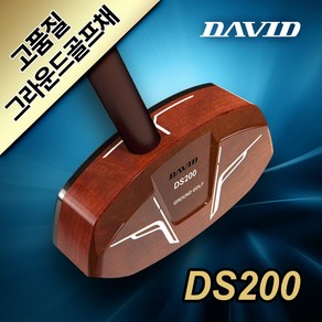 데이비드 그라운드 골프채 풀세트 DS200