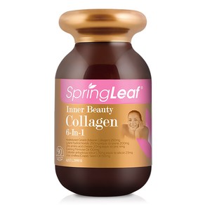 Sping leaf pemium Inne Beauty Collagen 6-In-1 Advanced 90 Capsules, 90캡슐, 1개, 90정