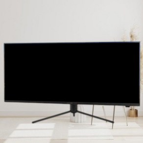 크로스오버 WQHD IPS TYPE C PD 평면 모니터, 100.9cm, 40QQ3(일반)