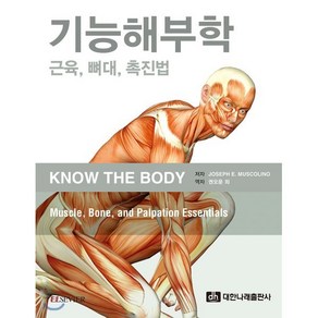 기능해부학 : 근육 뼈대 촉진법